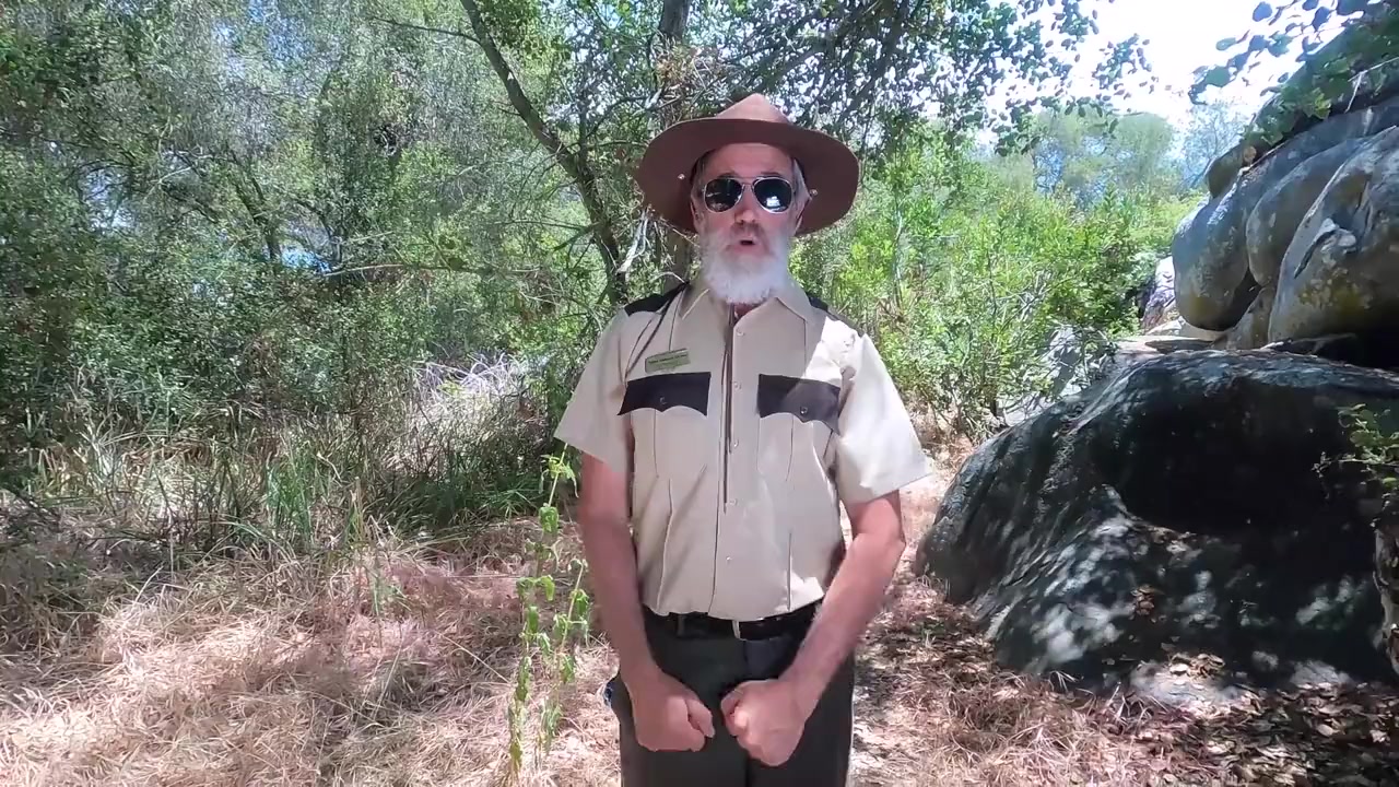 Get Lost in the Outdoors the Movie: The Quest for the Junior Ranger Badge screenshot 1