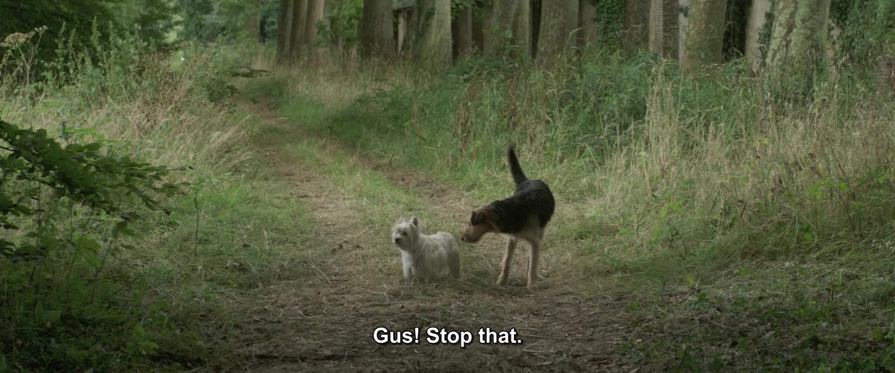 Gemma Bovery screenshot 2