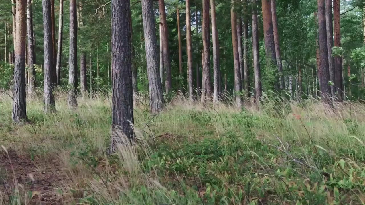 Generasjon Utøya screenshot 1