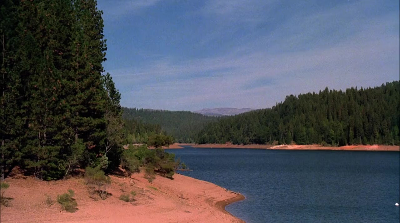 Gentle Ben screenshot 1