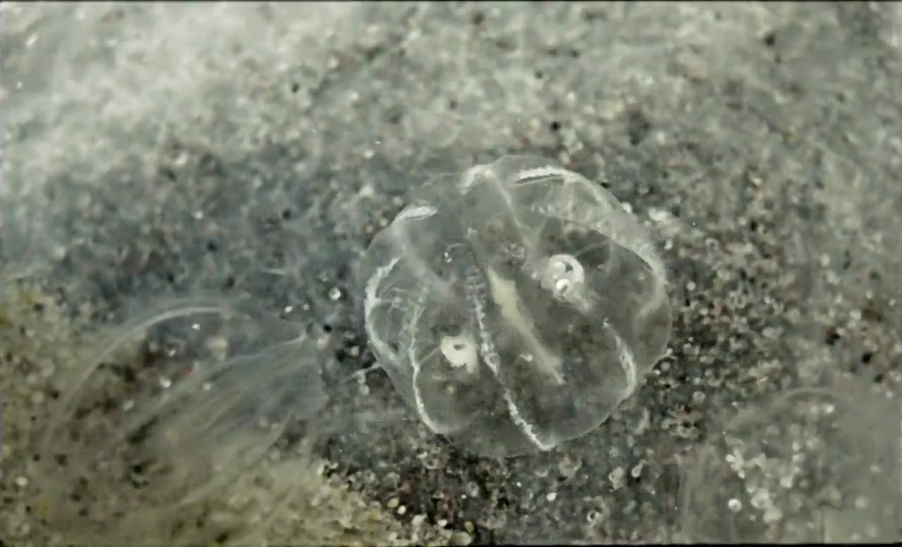 Geographies of Solitude screenshot 2