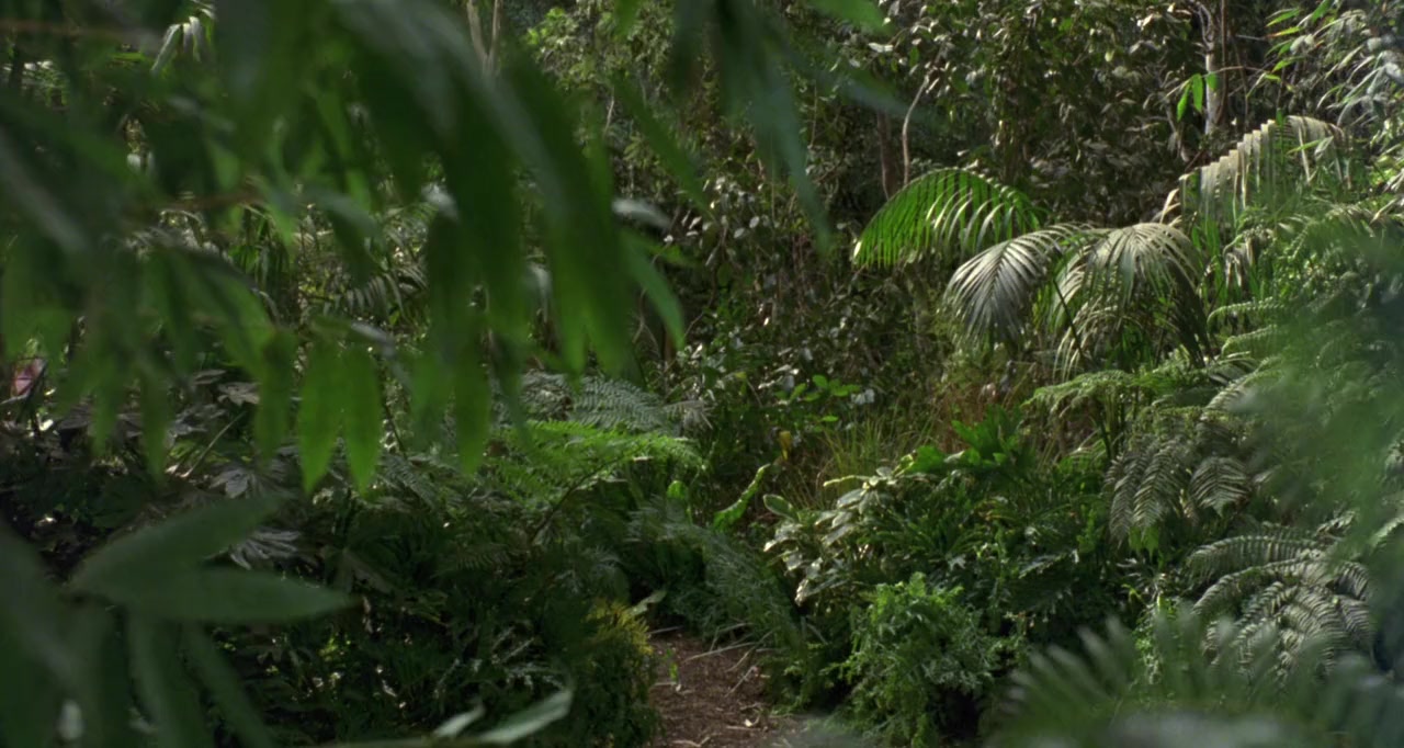 George of the Jungle screenshot 1