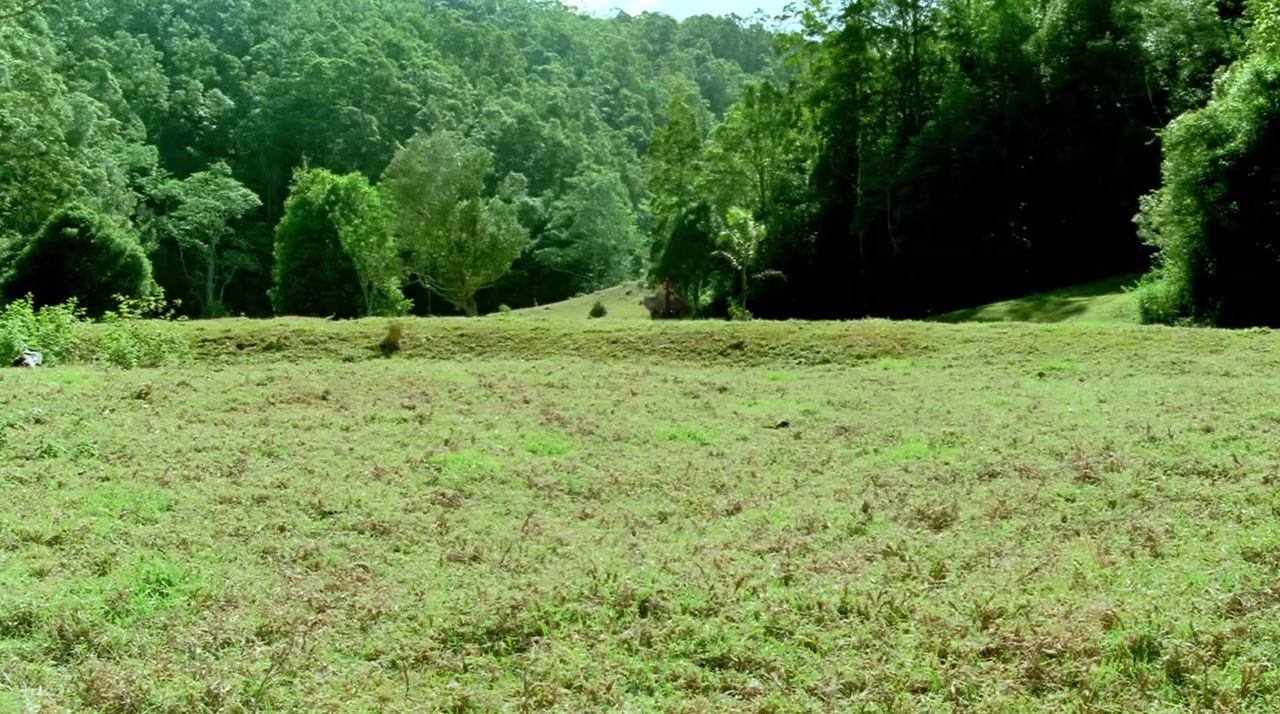 George of the Jungle 2 screenshot 1