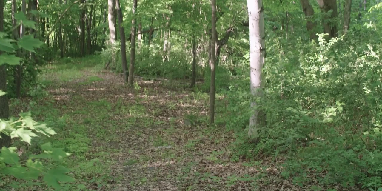 Georgia Rock screenshot 2