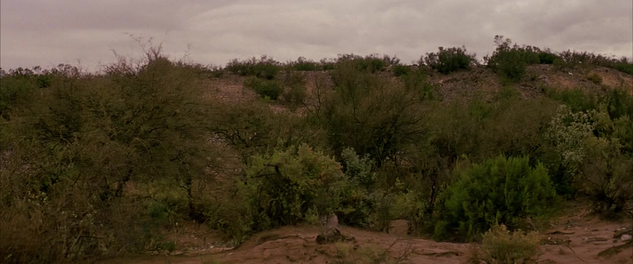 Gerry screenshot 3