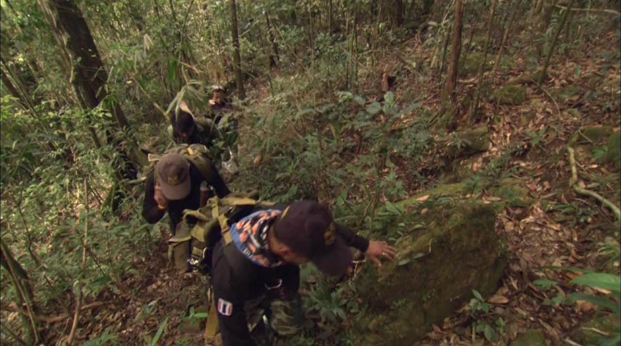 Ghost Cat: Saving the Clouded Leopard screenshot 2