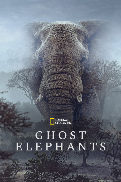 Ghost Elephants (2025) poster