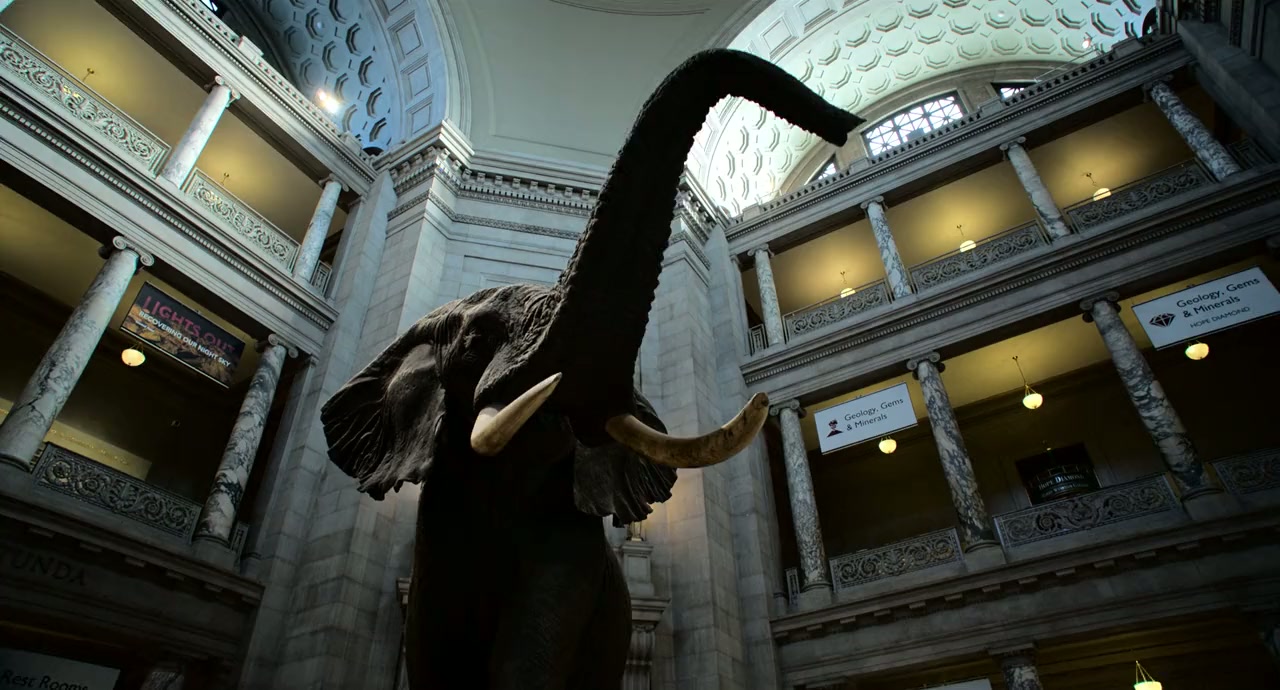 Ghost Elephants screenshot 3