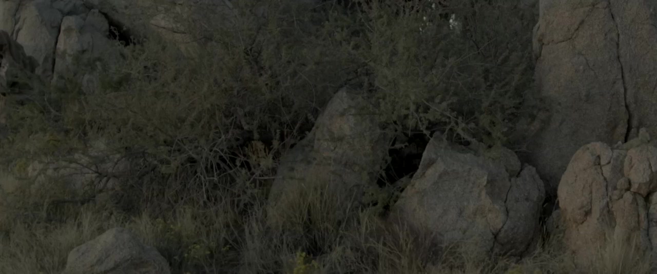 Ghost Warrior screenshot 2