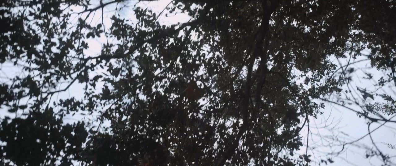 Ghosts of the Ozarks screenshot 1