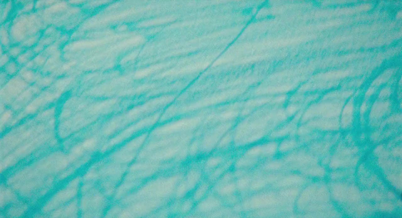 Give Me Liberty screenshot 1