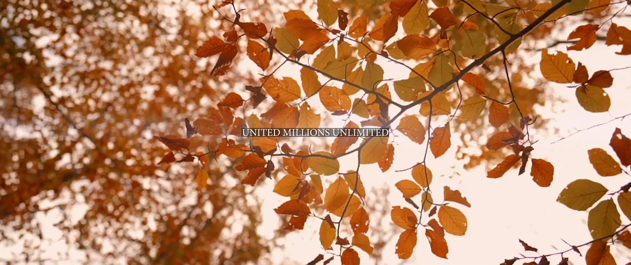 Giving Thanks screenshot 1
