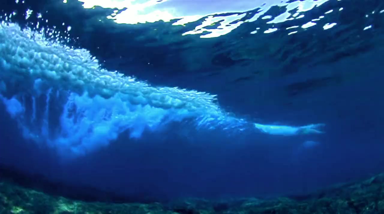Giants of the Deep Blue screenshot 3