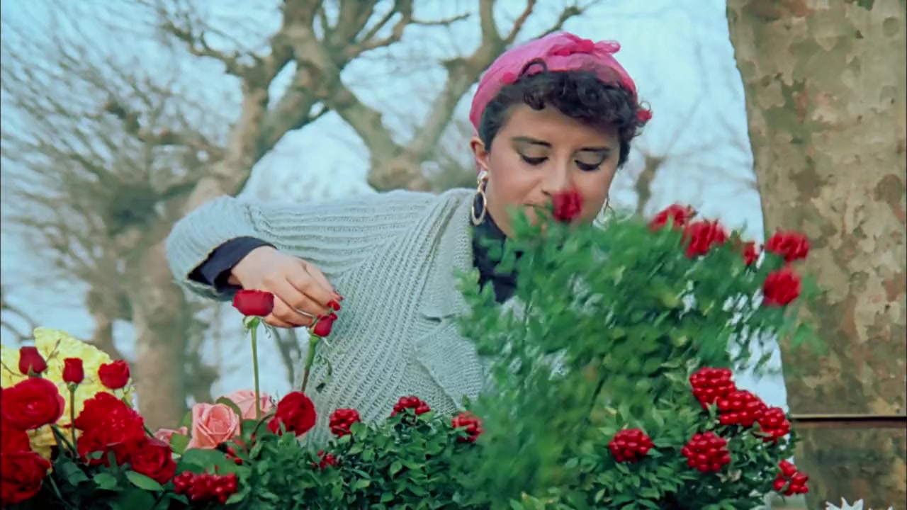 Girgiriye'de Cümbüs screenshot 1