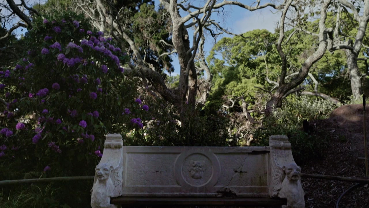 Girl, Taken screenshot 2