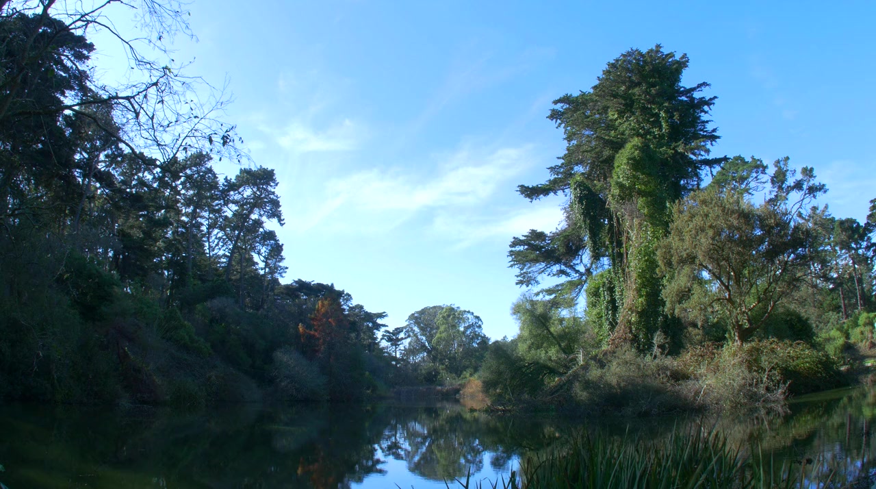 Girl in Golden Gate Park screenshot 2