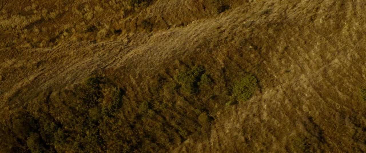 Les filles du soleil screenshot 1