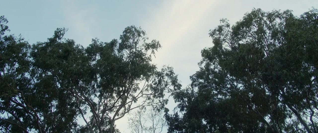 Girls' Night Out screenshot 1