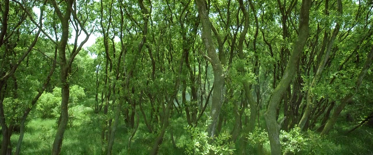 Yoorijungwon screenshot 2