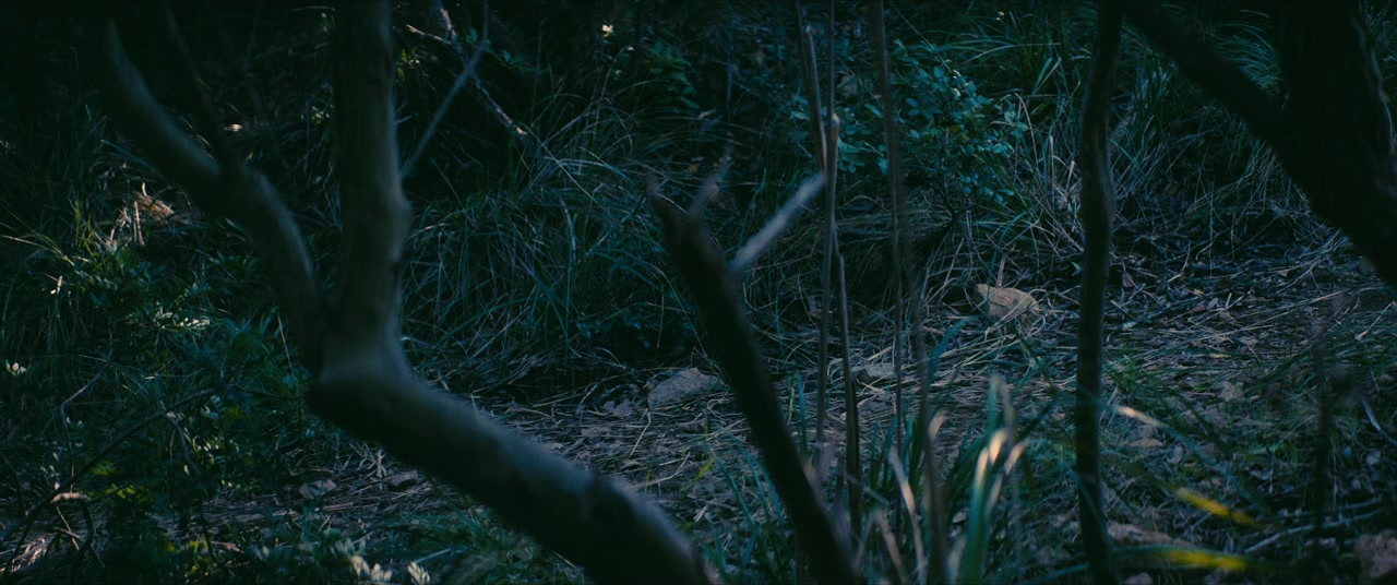 Gli occhi degli altri screenshot 3