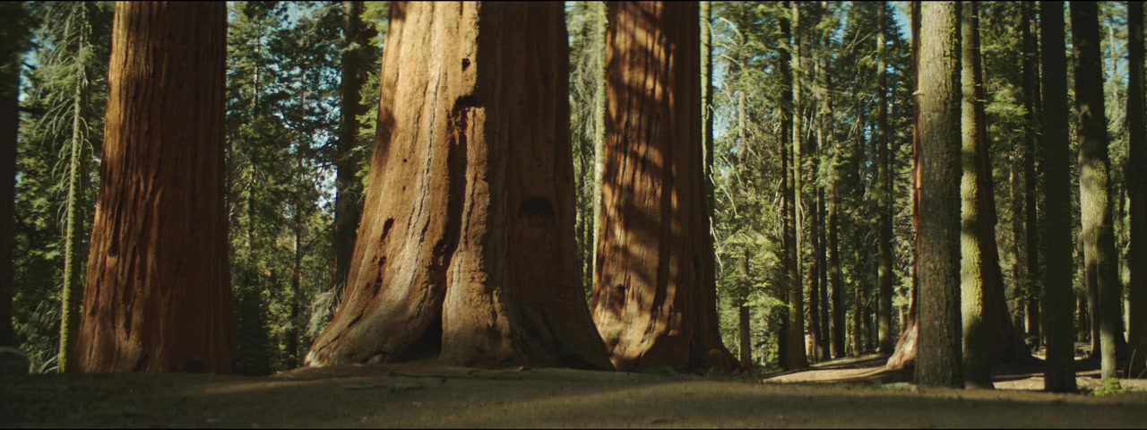 Grunt screenshot 2