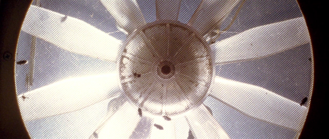 Grace screenshot 1