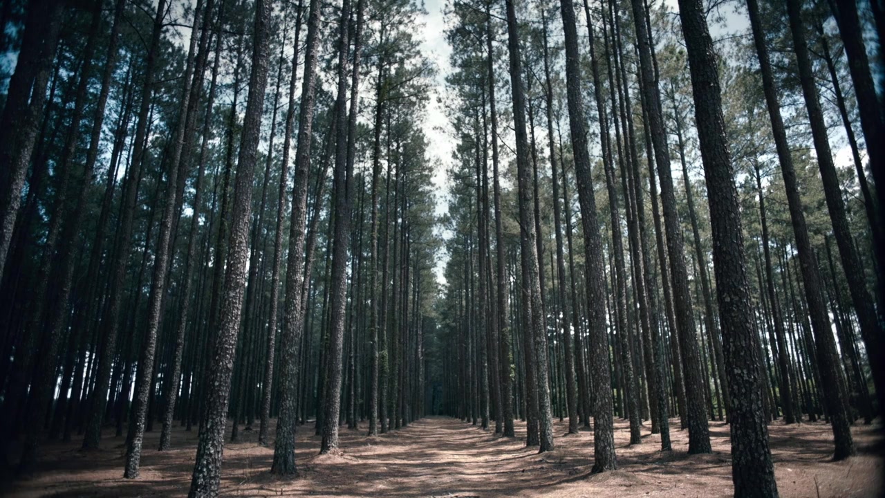 Grace Point screenshot 1