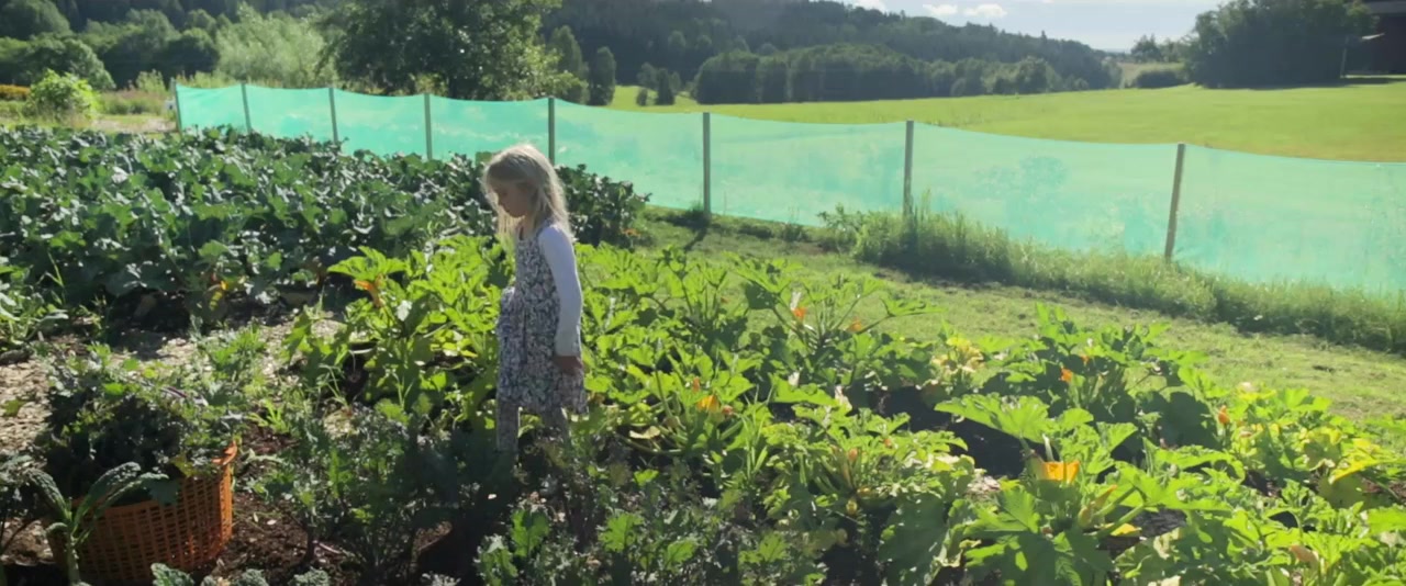 Gracie's Backyard screenshot 1