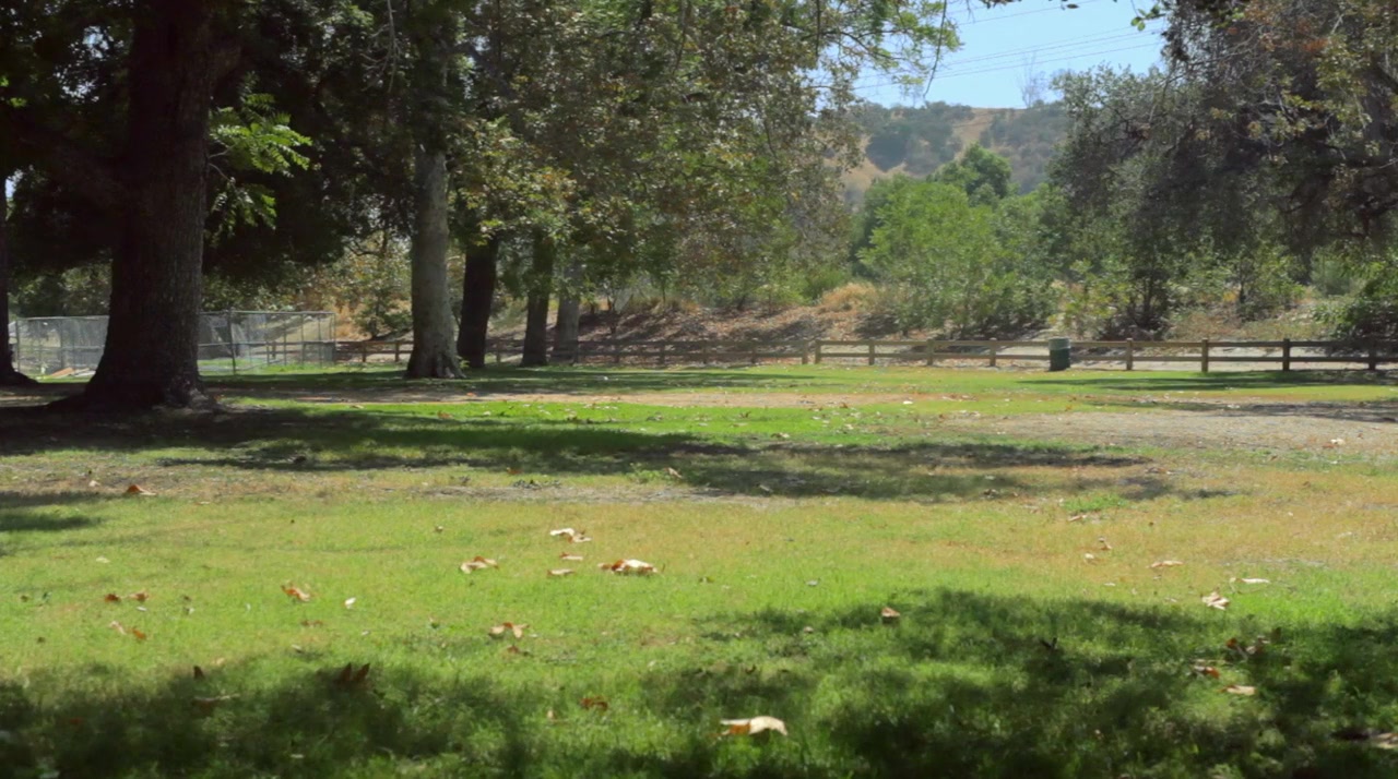 Grass screenshot 1