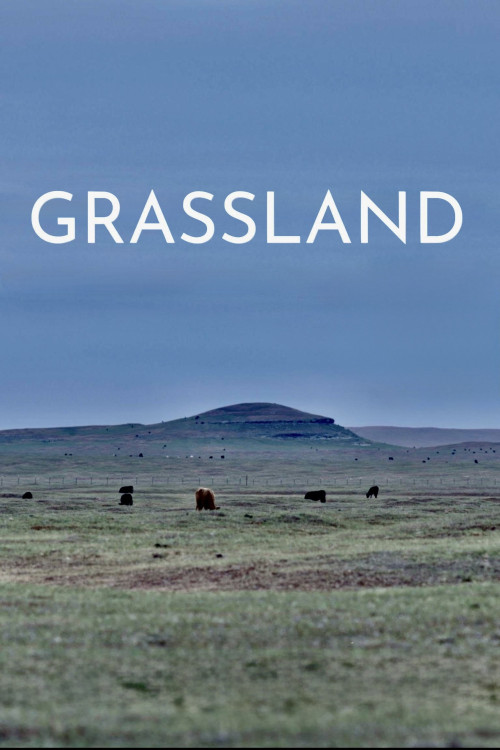 Grassland (2023) poster