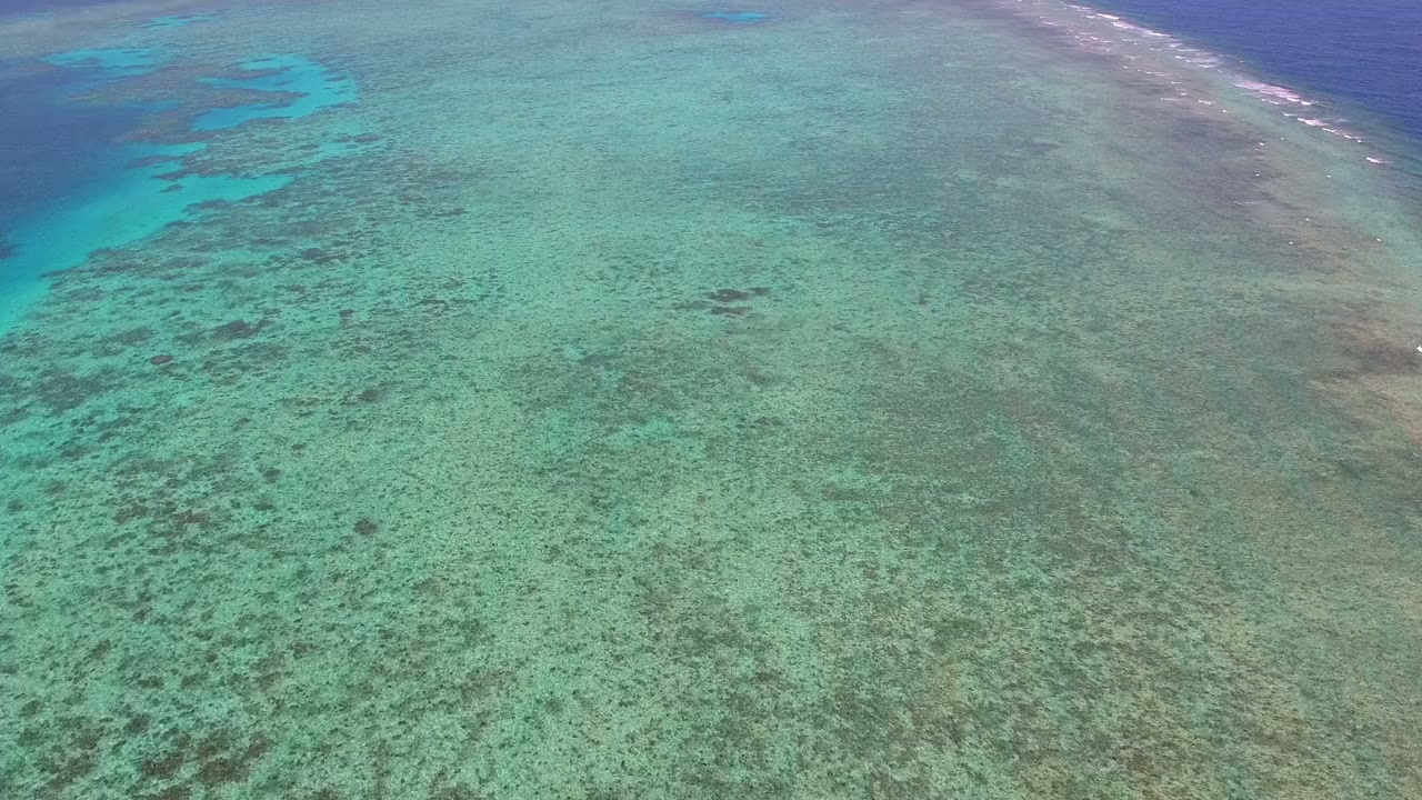 Great Barrier Reef 4K screenshot 1