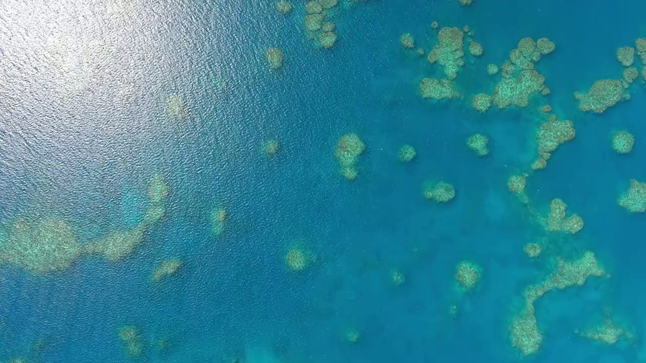 Great Barrier Reef 4K screenshot 2