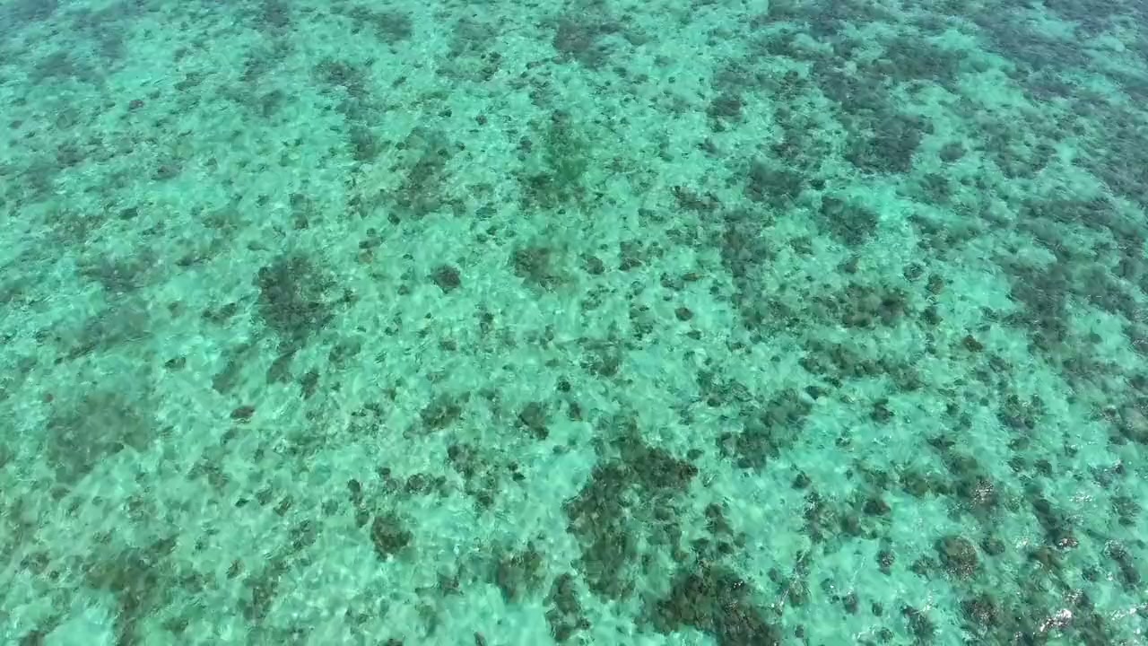 Great Barrier Reef 4K screenshot 3