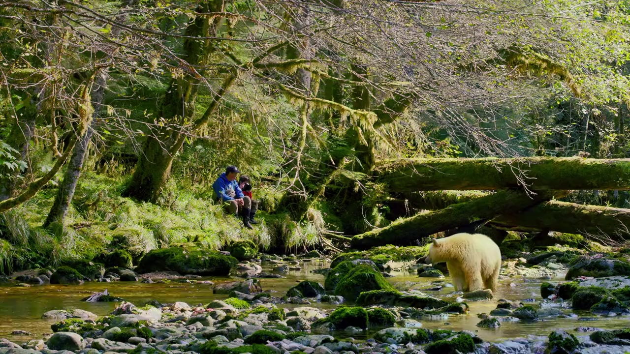 Great Bear Rainforest screenshot 1