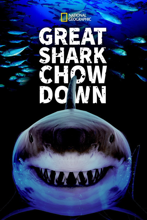 Great Shark Chow Down (2019) poster