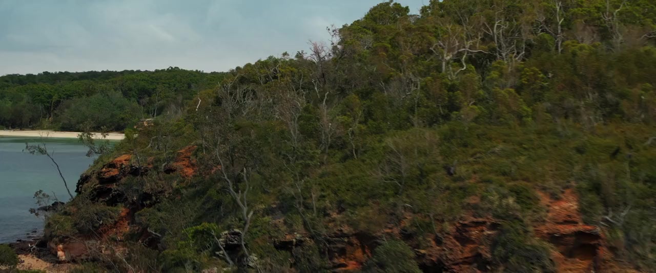 Great White screenshot 1