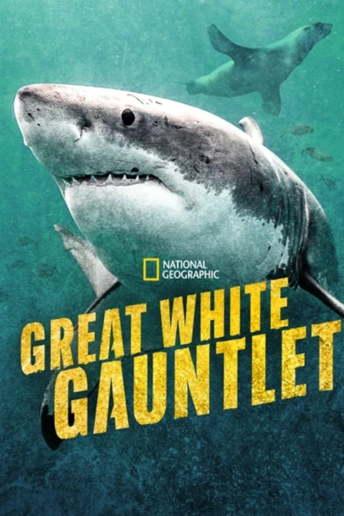 Great White Gauntlet (2026) poster