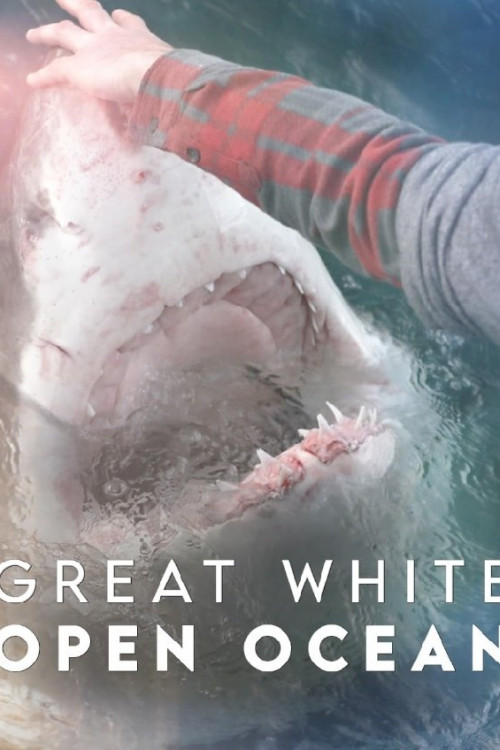 Great White Open Ocean (2022) poster