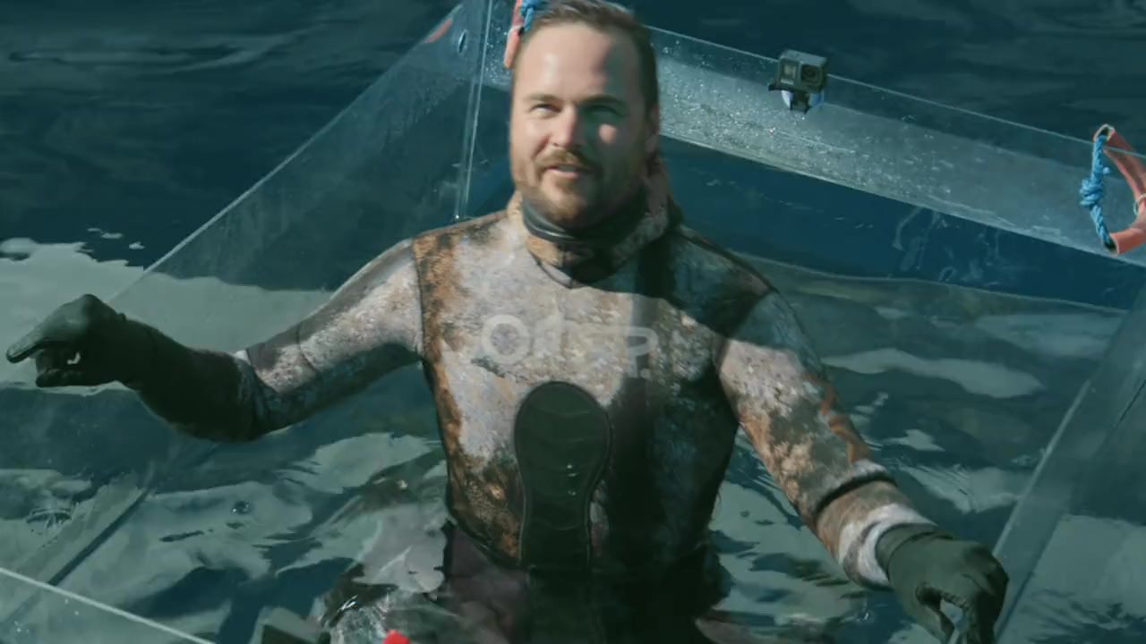 Great White Open Ocean screenshot 2