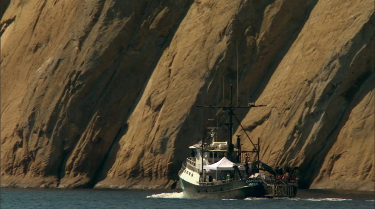 Great White Shark: Beyond the Cage of Fear screenshot 3