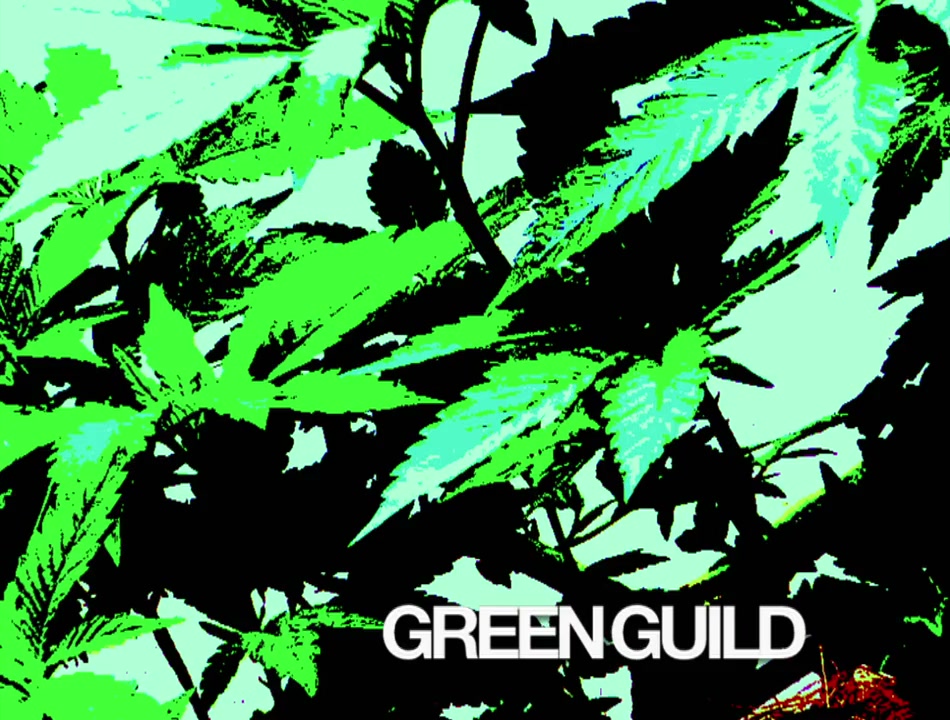 Green Guild screenshot 1