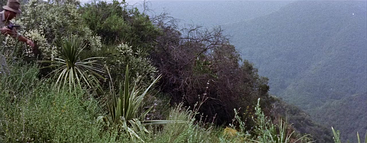 Green Fire screenshot 1