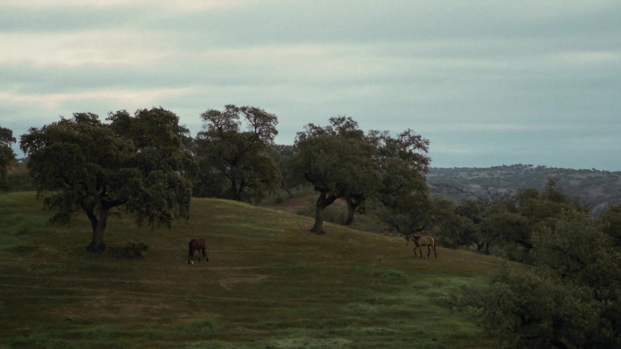 Green Over Gray. Emilio Ambasz screenshot 3