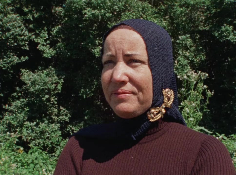 Grey Gardens screenshot 1