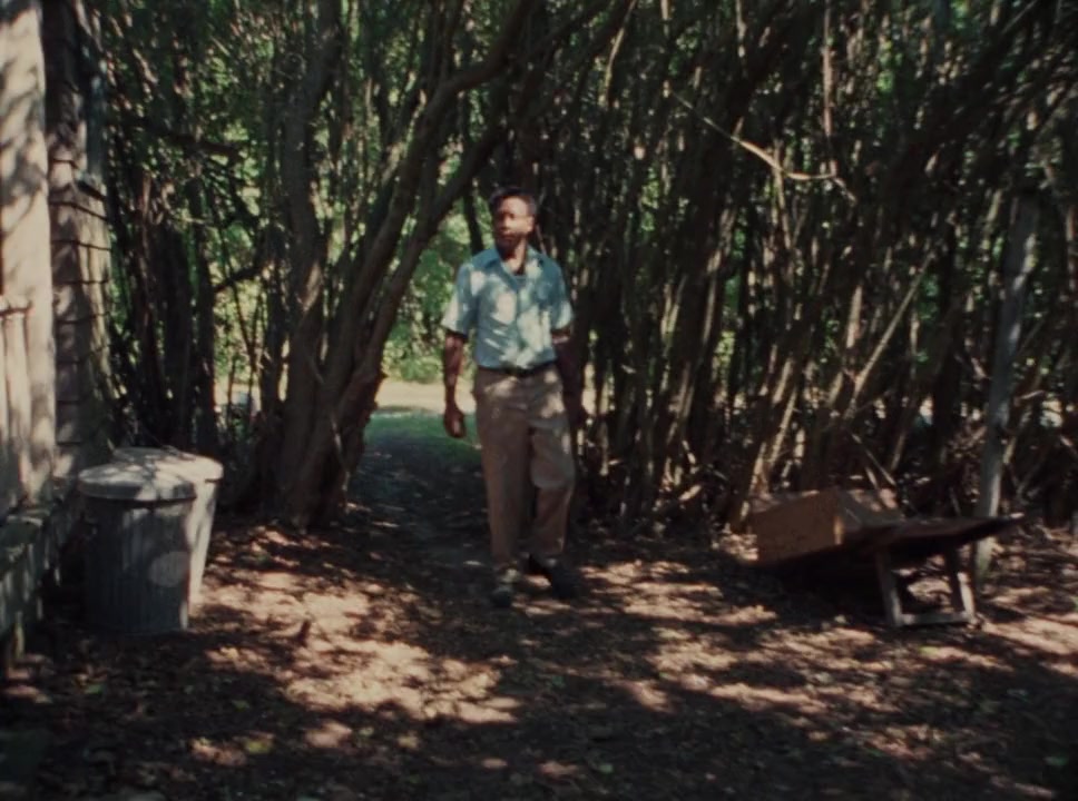 Grey Gardens screenshot 3
