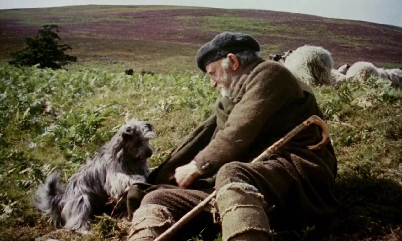 Greyfriars Bobby: The True Story of a Dog screenshot 3