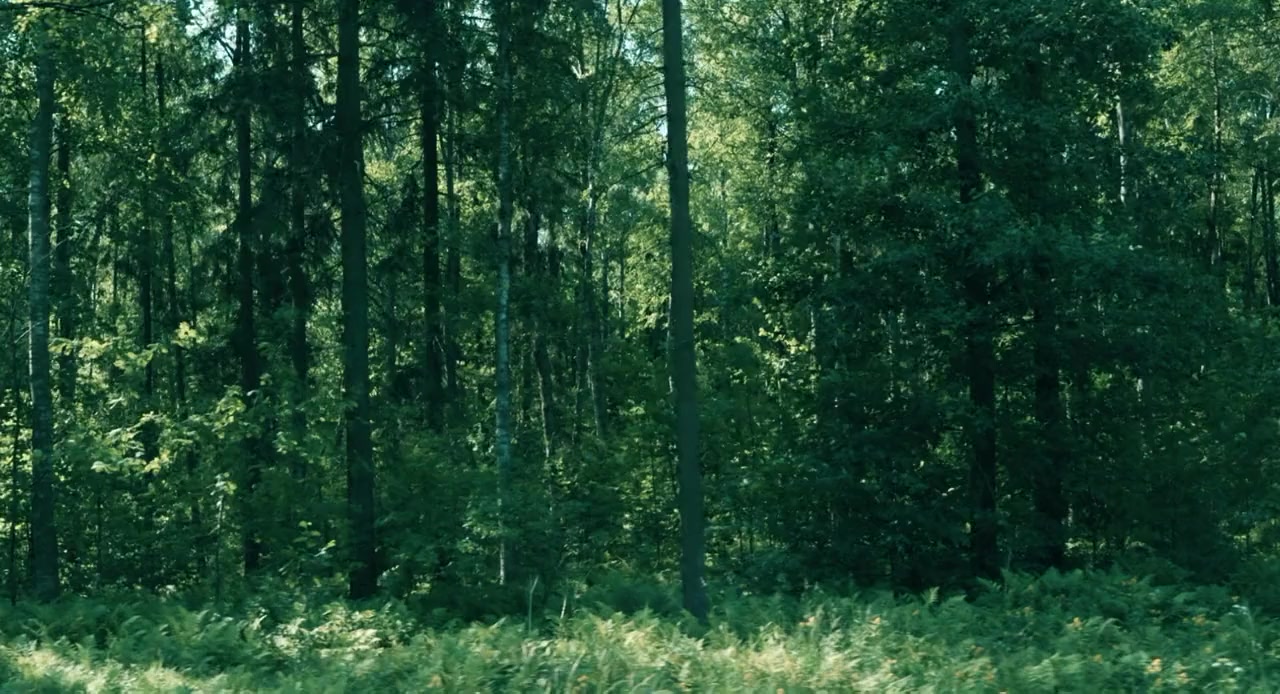 Grizzly II: The Predator screenshot 1