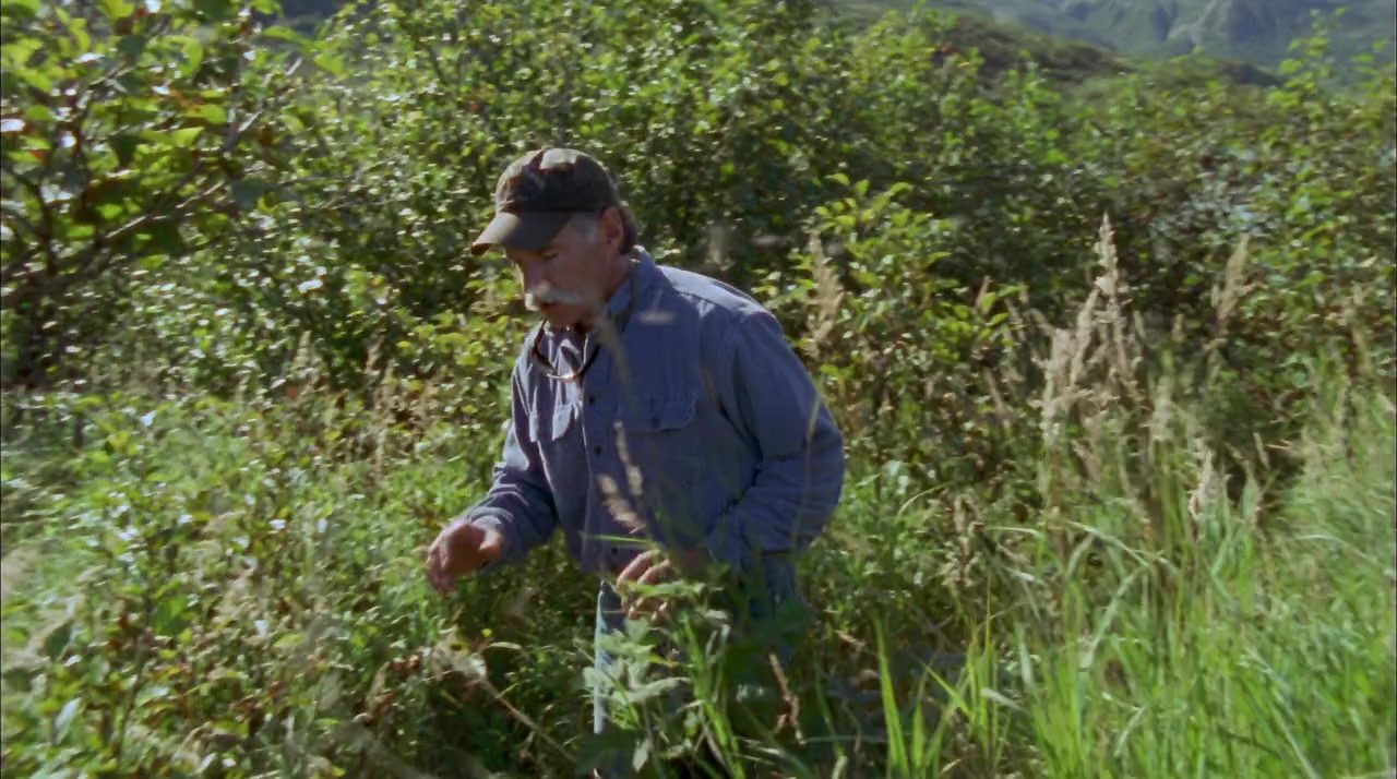 Grizzly Man screenshot 1