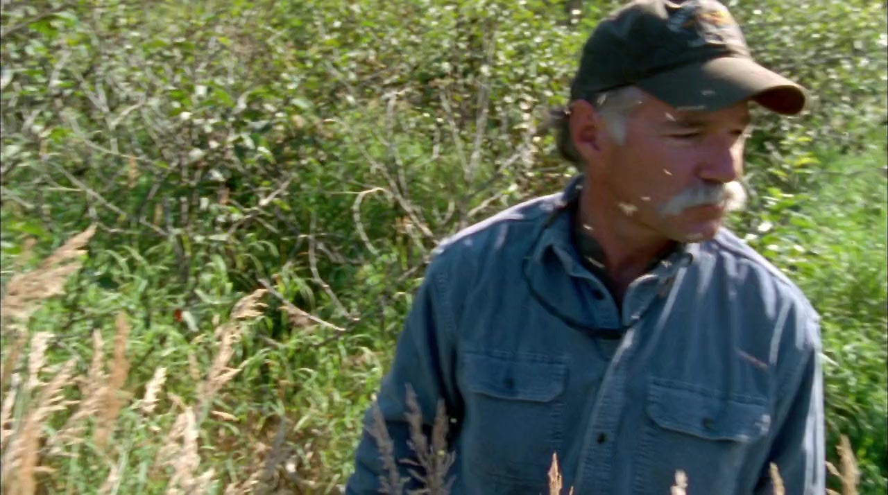 Grizzly Man screenshot 2