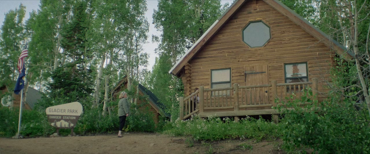 Grizzly Night screenshot 1